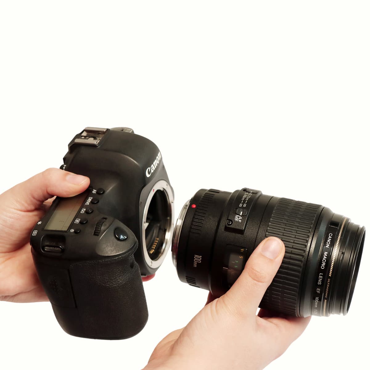 How do you set up your camera to photograph jewelry?